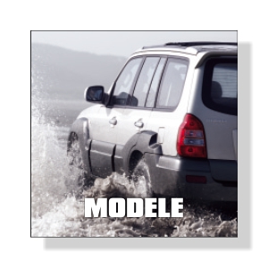 MODELE